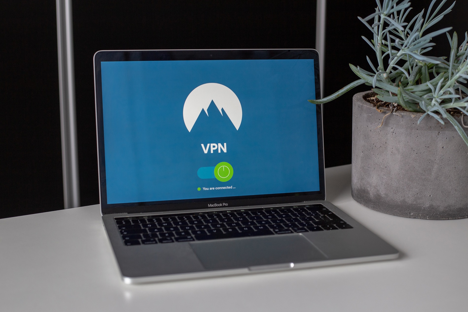 Read more about the article Everything You Need to Know About VPNs