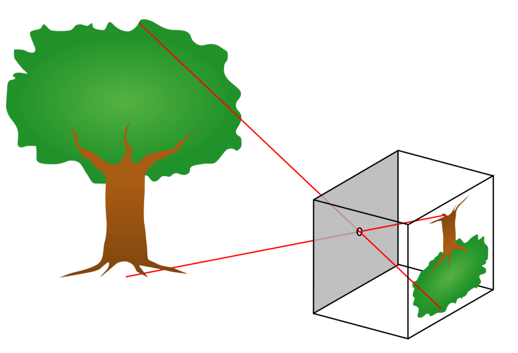 Unleashing Creativity with a Pinhole Camera