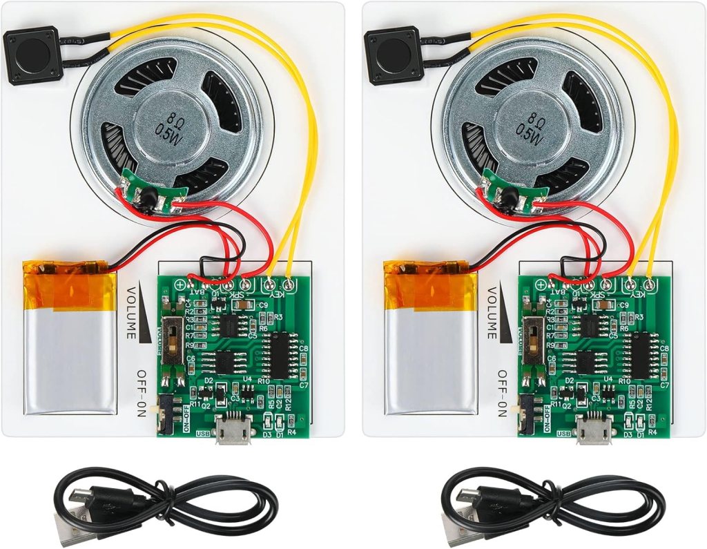 Handepo 2 Pieces 120 Seconds Recordable Sound Module Recordable Sound Chip Push Button Activated Button Recording Music Voice Player Module Chip for DIY Music Box Greeting Card and Other DIY Projects