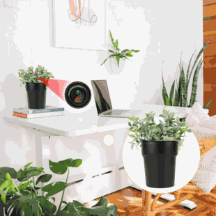 WiFi Hidden Camera w/ Audio Plant/Flower Pot Spy/Nanny Cam Review