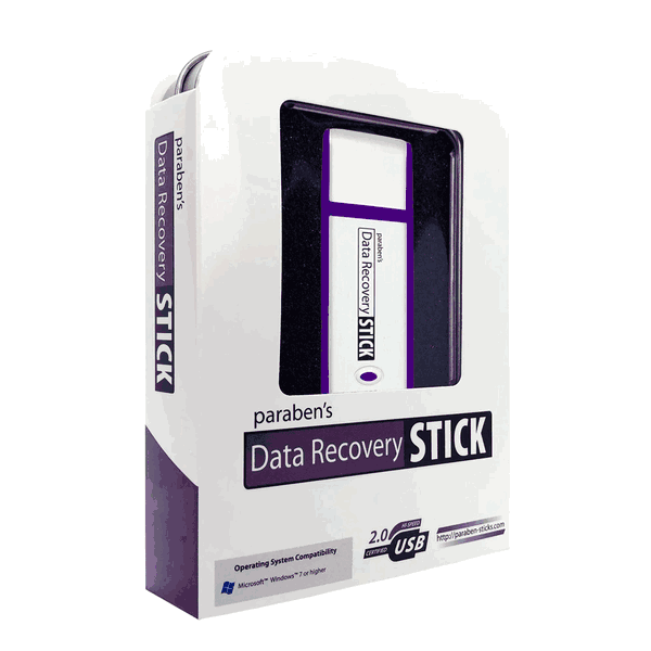 Read more about the article Data Recovery Stick for Windows: Professional Forensic File Restoration Tool review
